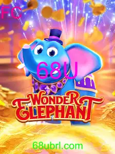 WonderElephant